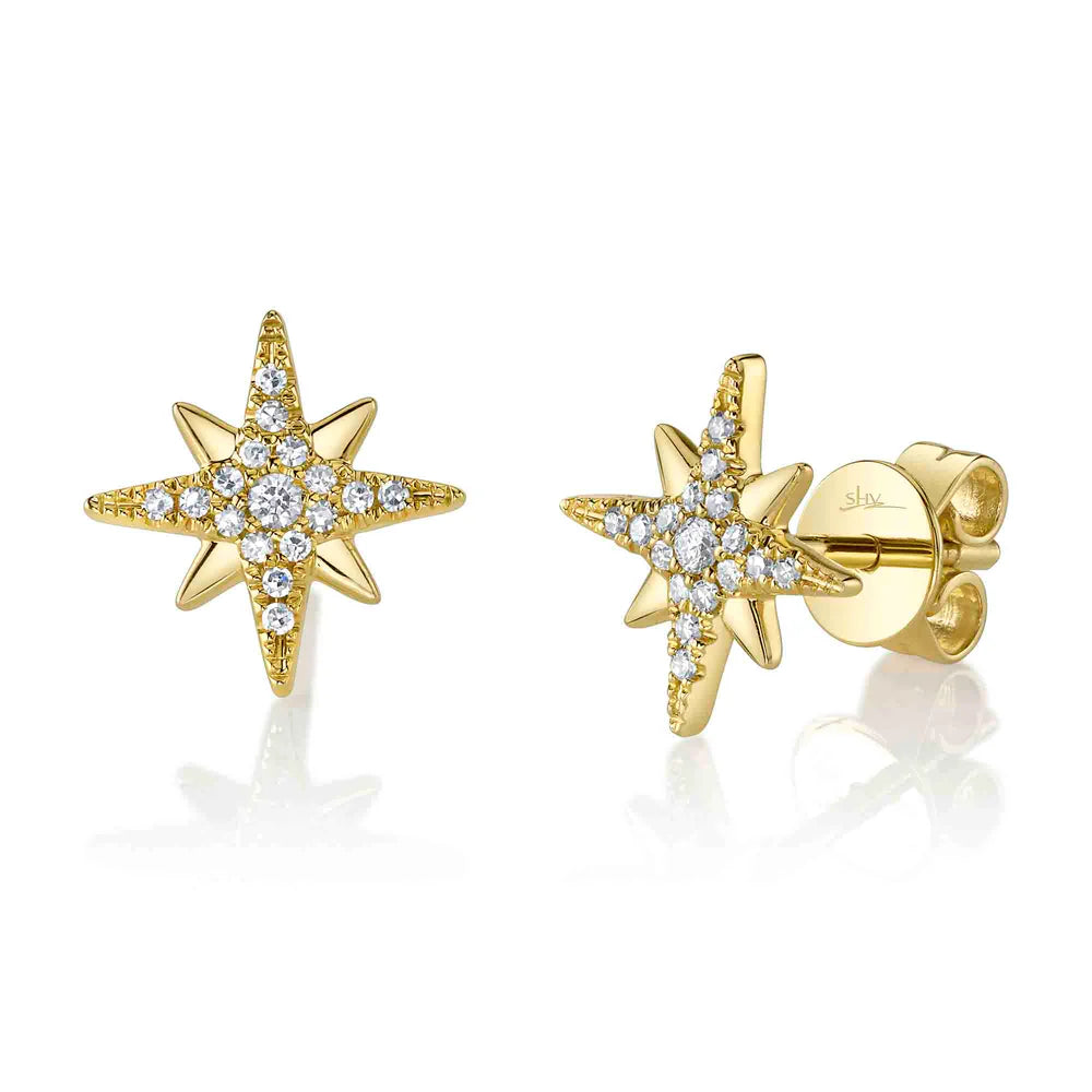 Long Dangling Earrings-14K Diamond North Star Stud Earrings